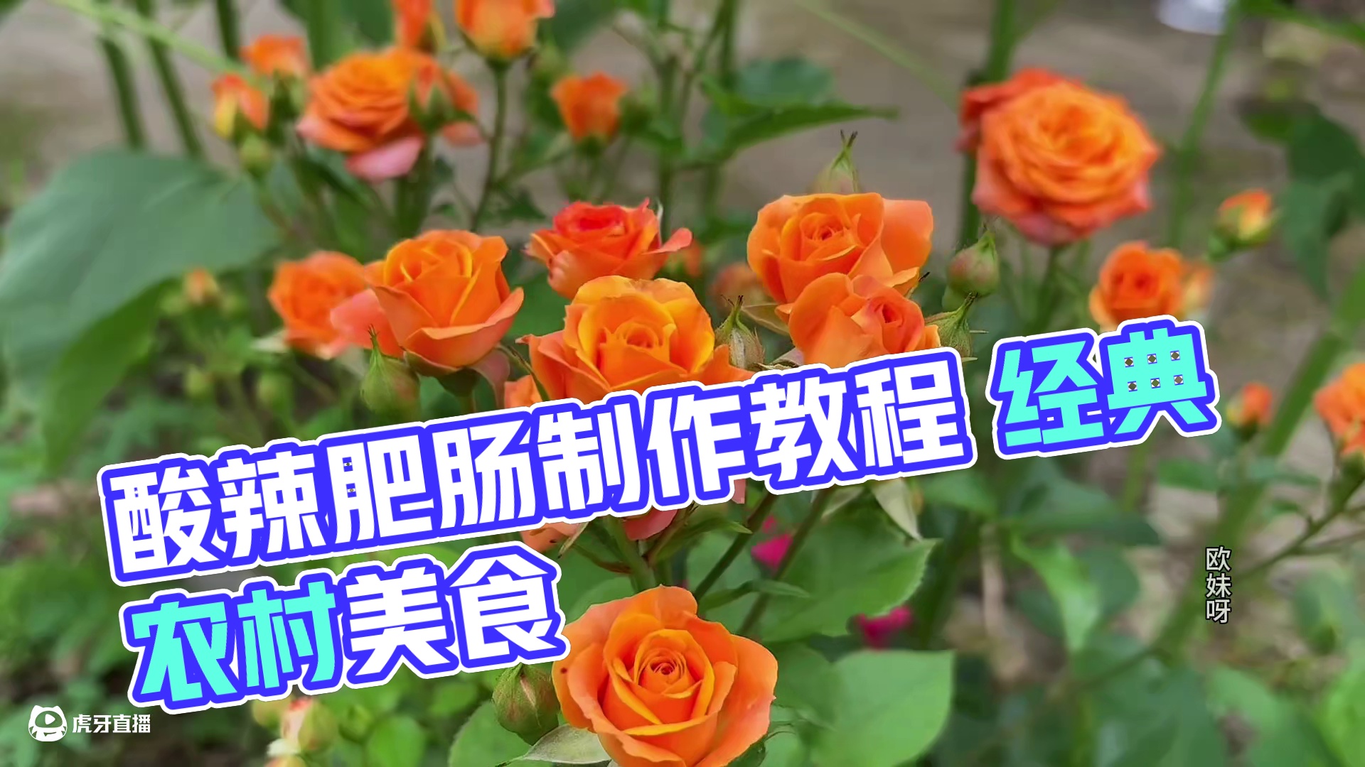 今天做了一大锅酸辣肥肠吃个够 #美食 #肥肠 #农村生活