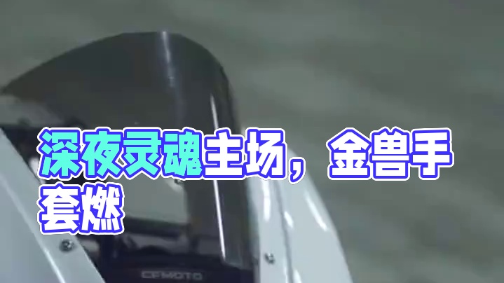 深夜才是灵魂的主场 #675sr #GS金兽手套