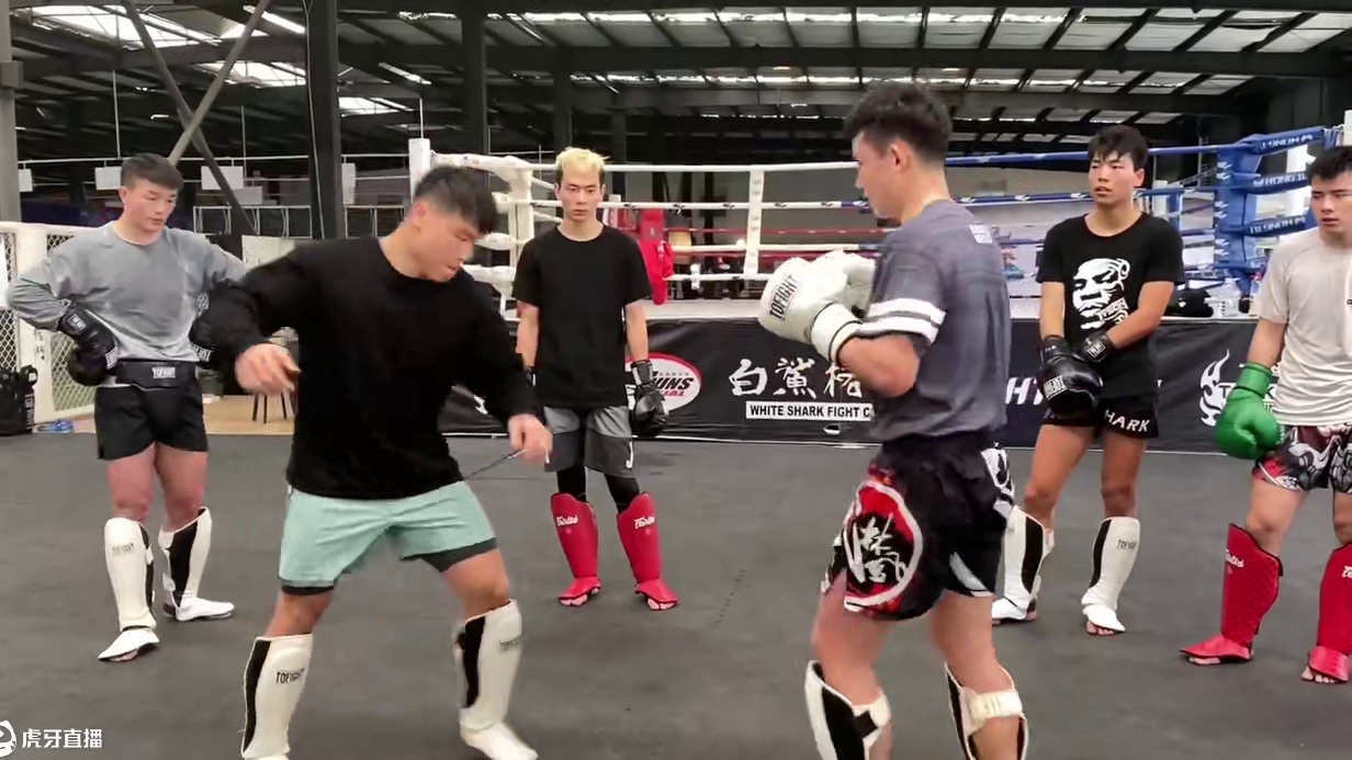 #白鲨一站式服务 愿每个人都能成为自己的主宰。白鲨格斗致力于培养全方面人才。