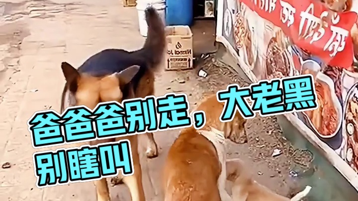 这下解释不清了