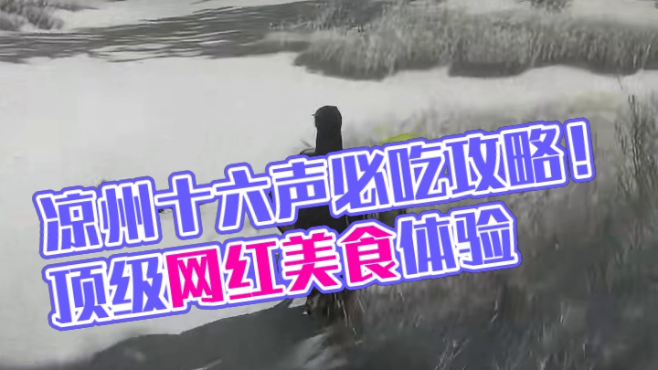 燕云凉州必吃榜 来凉州吃什么玩什么？#燕云十六声凉州上线 #燕云十六声 #抽象