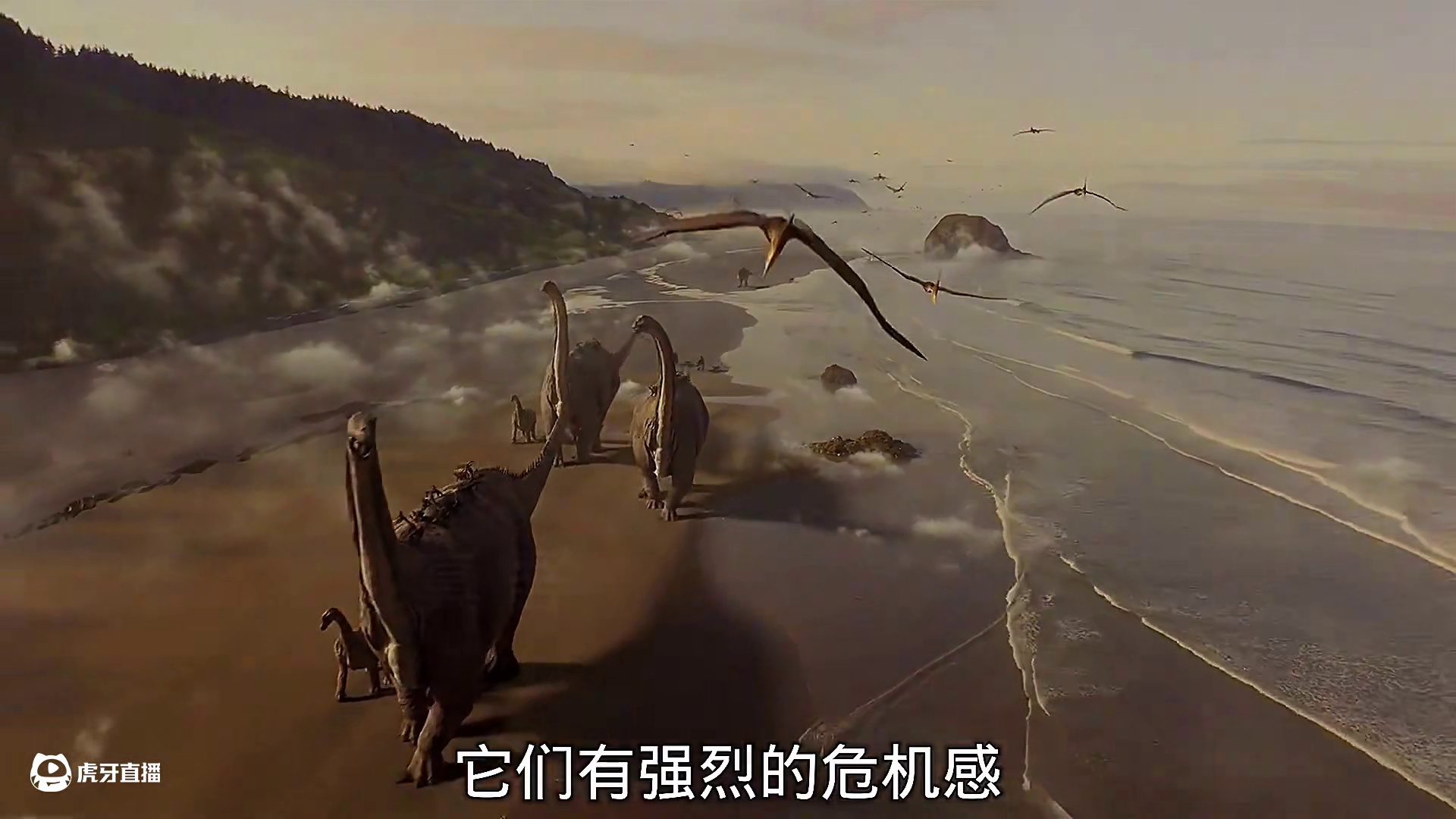 海洋巨兽搁浅尸体遭各路掠食者疯抢，顶级掠食者族群大战开启！