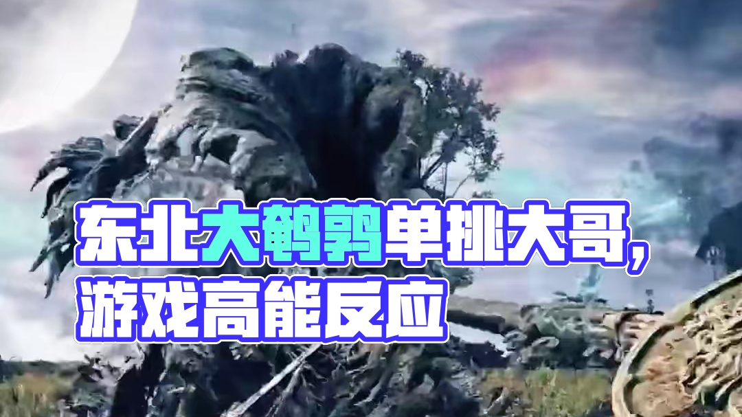 这游戏太好玩啦！ #东北大鹌鹑 #主机游戏 #游戏日常 #艾尔登法环 #老头环