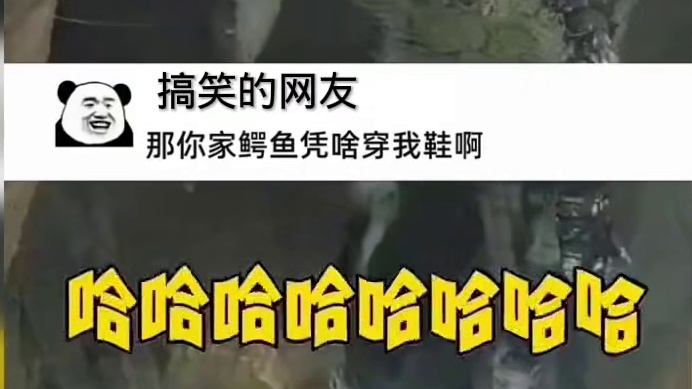 这是真飞机头呀？