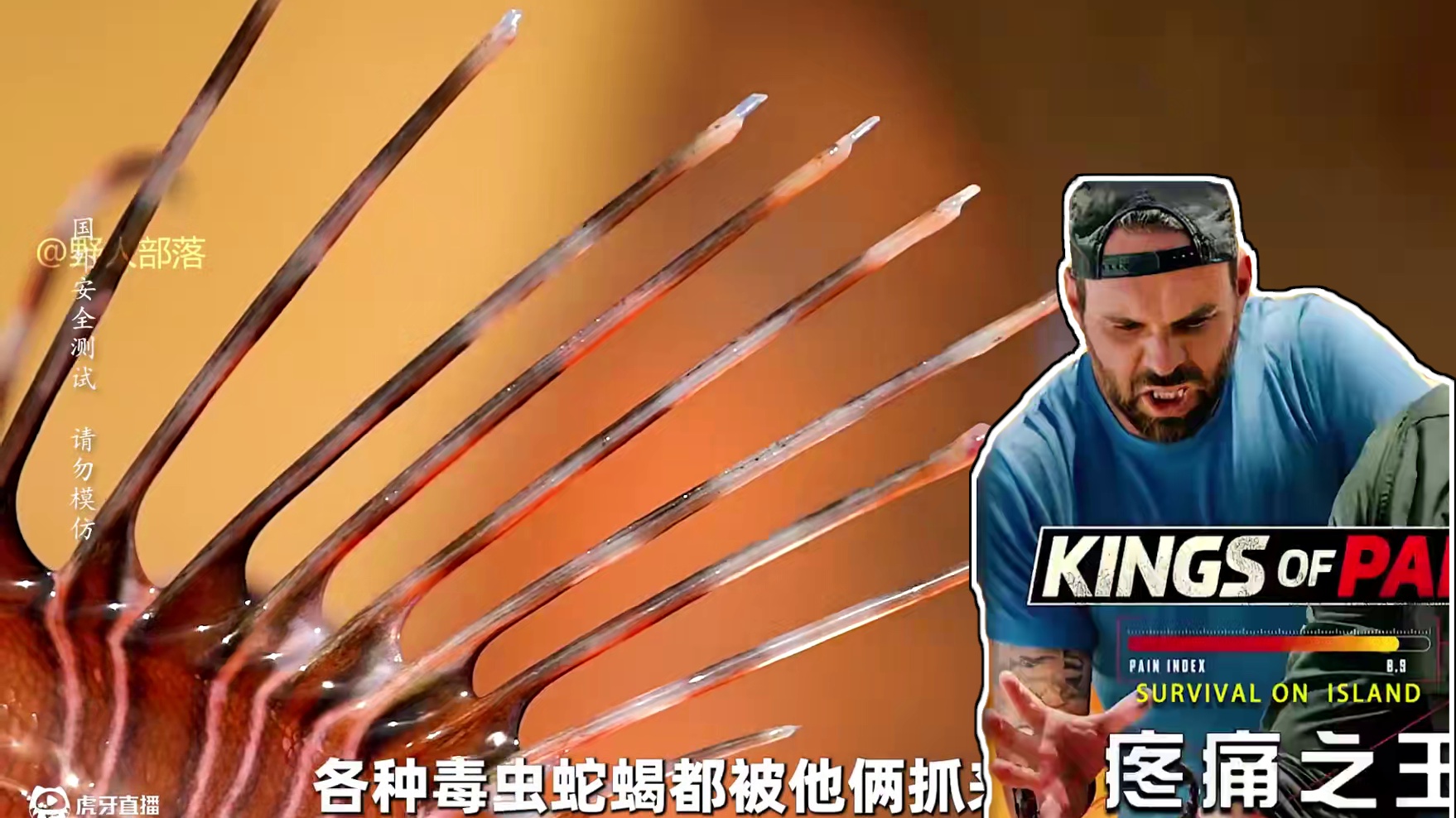 被蝎子蛰一下到底是什么感觉，国外作死老哥告诉你答案 #纪录片 #男生减速带 #疼痛之王 #户外