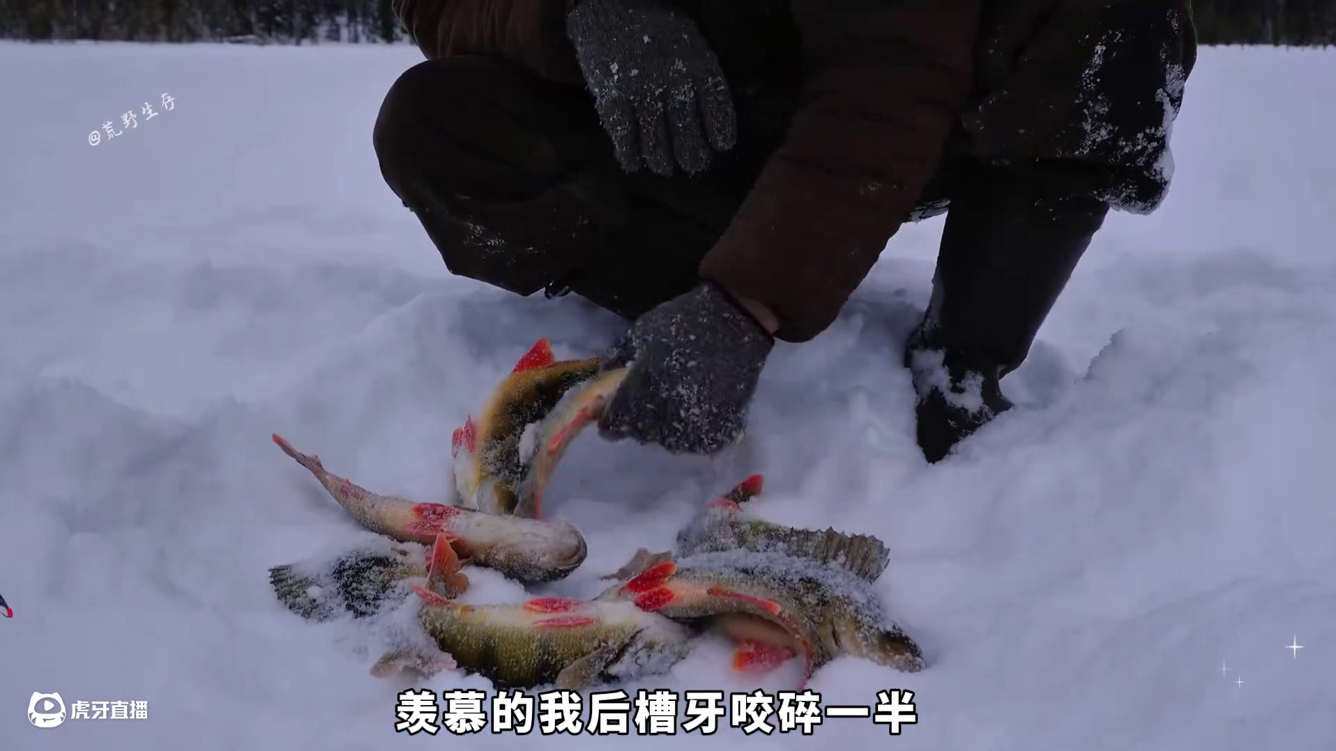 这是什么顶级享受，男人在西伯利亚的冬季生活！ #野外建造 #木屋建造 #解压