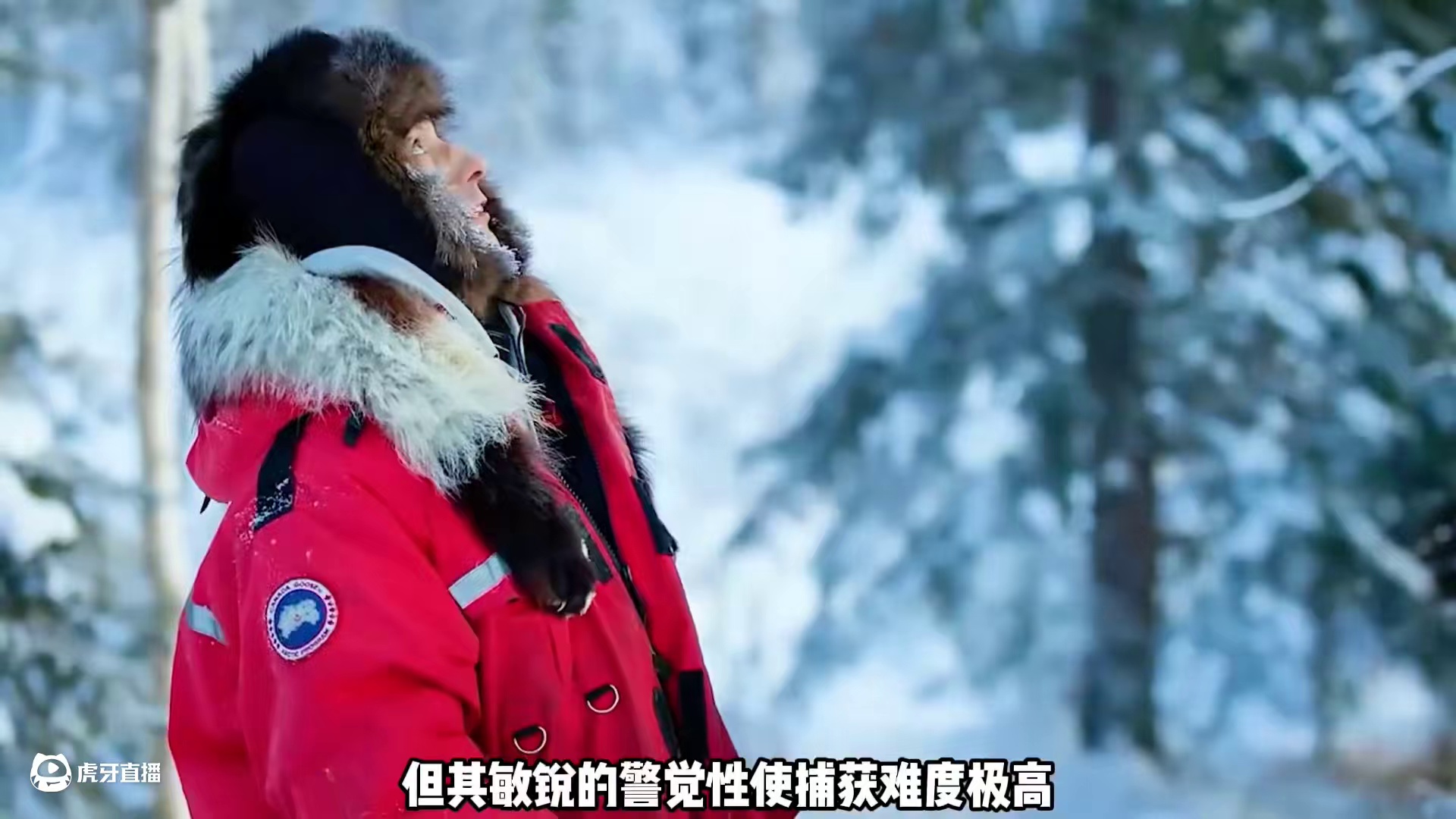 野外生活纪录片~