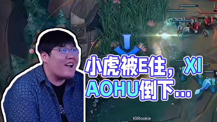 小虎：看完乌鸦坐飞机