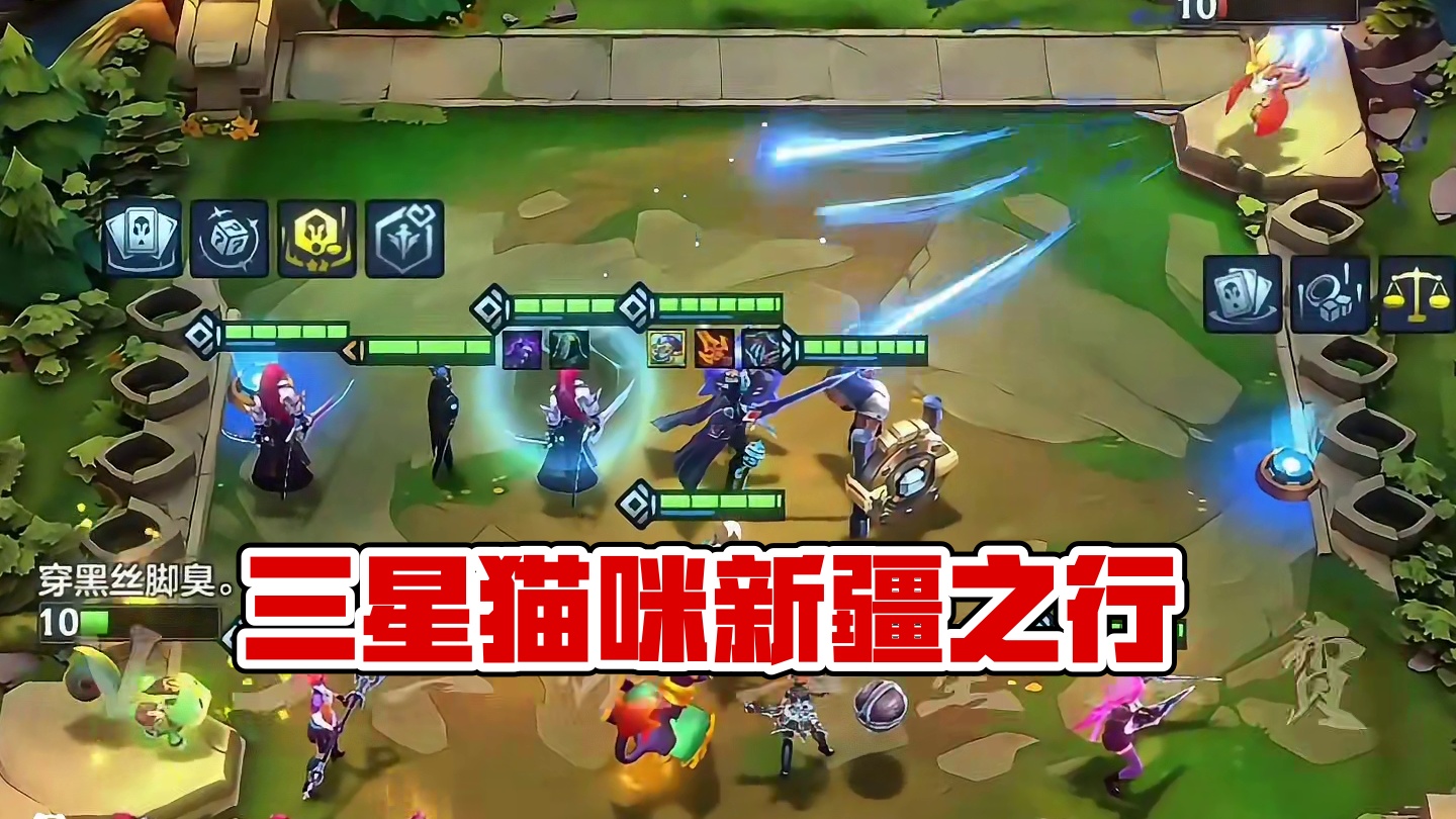 三星猫咪，头晕眼花！