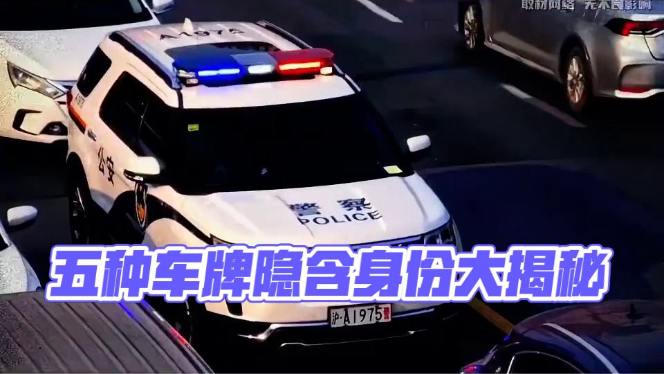 不同颜色的车牌都安装在哪些车上 #汽车 #汽车知识 #汽车文化