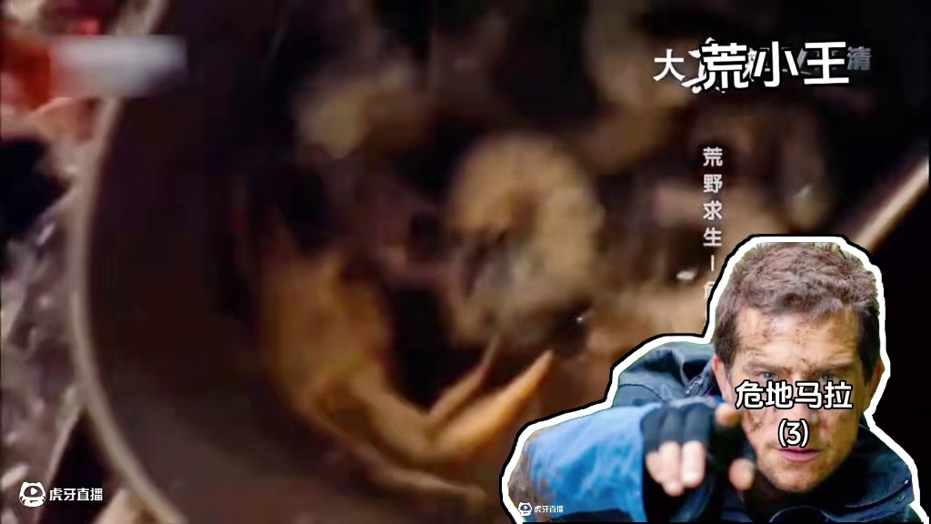 贝爷荒野求生之《危地马拉》⑶#荒野求生 #野外生存 #纪录片 #贝爷#上热门