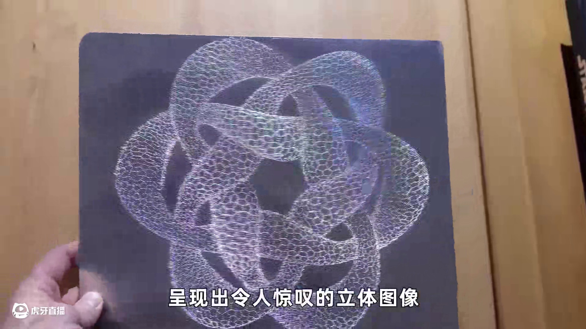平面上的立体画！一把圆规如何实现裸眼3D？神奇的“刮擦全息” #科普 #涨知识 #物理 #手工 #全