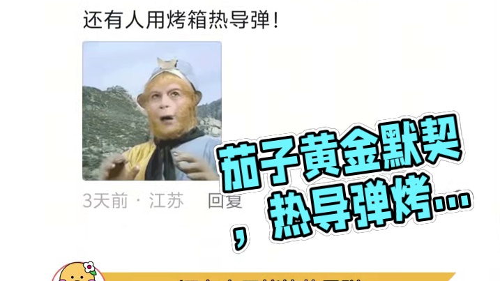 估计是茄子破了一个口子，气全往这口子跑了 #为什么 #万万没想到 #冷知识