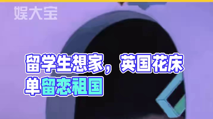 这个视频运用了借物抒情的手法，寄托了作者的思乡之情#留学 #留学生 #抽象 #花床单 #万万没想到