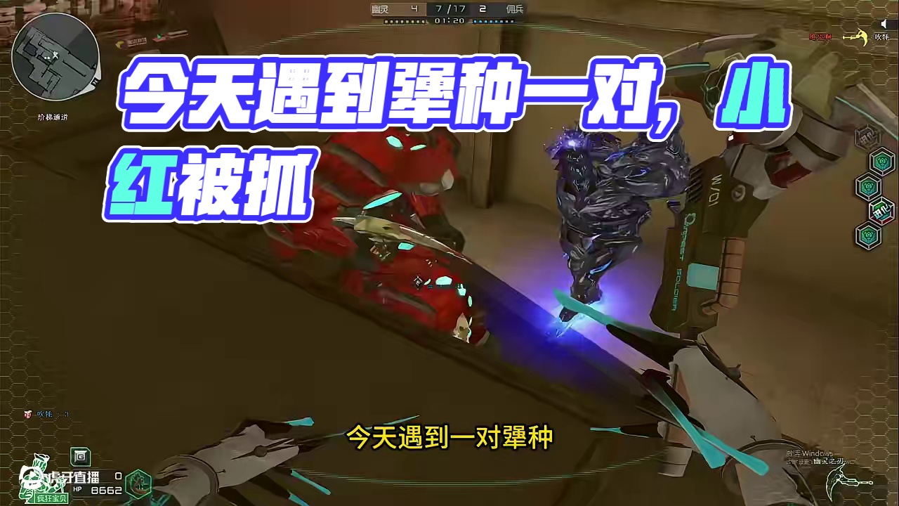 今天遇到一对犟种