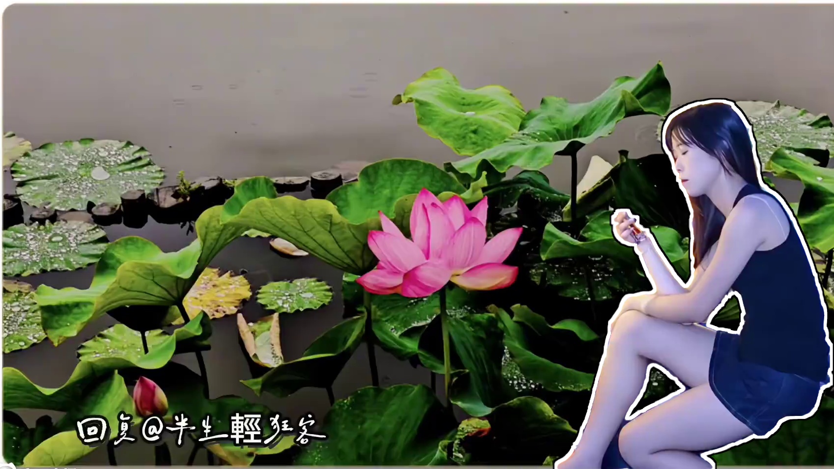 我发布了一个新视频，快来围观吧！