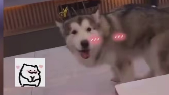 讨厌，羞死狗了