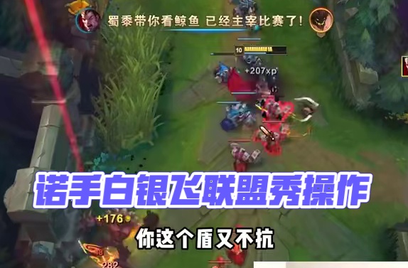 还记得当年的诺手导师白银飞吗? #白银飞