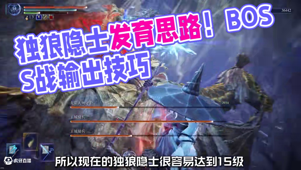 独狼隐士如何稳定发育《艾尔登法环黑夜君临》 #艾尔登法环黑夜君临  #艾尔登法环黑夜君临攻略  #艾