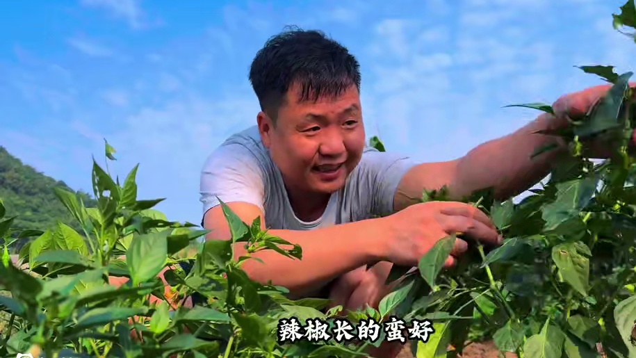 天热没胃口试试这样一碗青椒肉丝面，大口嗦面真过瘾！ #乡村烟火 #农村的美食生活 #本地人推荐的美食