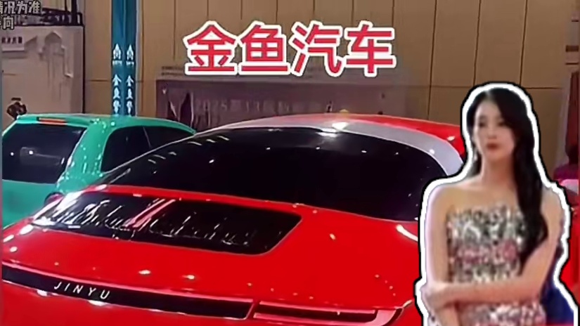 卖耗子药的居然造起了车…#金鱼汽车