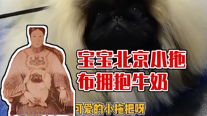 宝宝，你是一只可爱的小拖布~