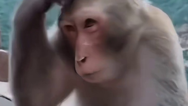 小狗：主人您是什么再世华佗吗