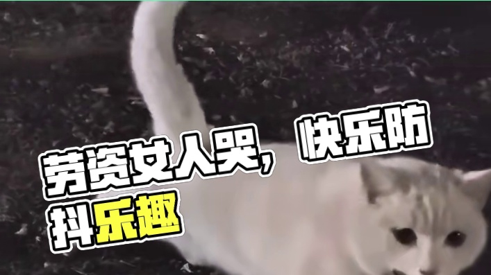 劳资最见不得女人哭