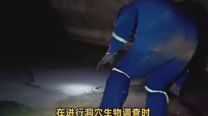 这份科研精神太令人震撼了