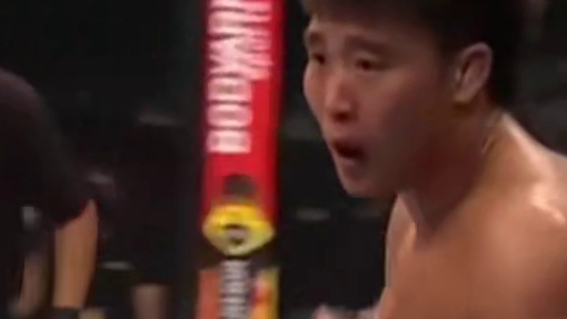 从中国到 UFC！胡宗耀的格斗之路