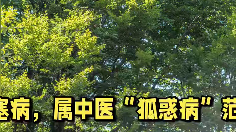 探索中医治疗白塞病的特色：内服外治，标本兼治
