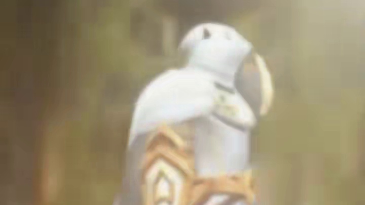 魔兽幻化颜值天花板合集！你最爱哪一套？ #魔兽世界正式服#重返艾泽拉斯冒险手册#魔兽世界入坑指南#魔