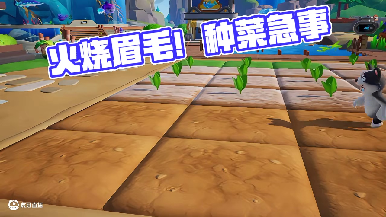 元梦之星：就算外面火烧眉毛了！也不能耽误我种菜！ #元梦之星 #元梦之星超能学园赛季 #我在元梦开餐