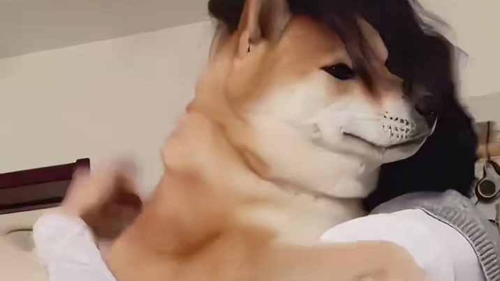 咪咪：它不回去了你请回吧，它已经是我的狗了