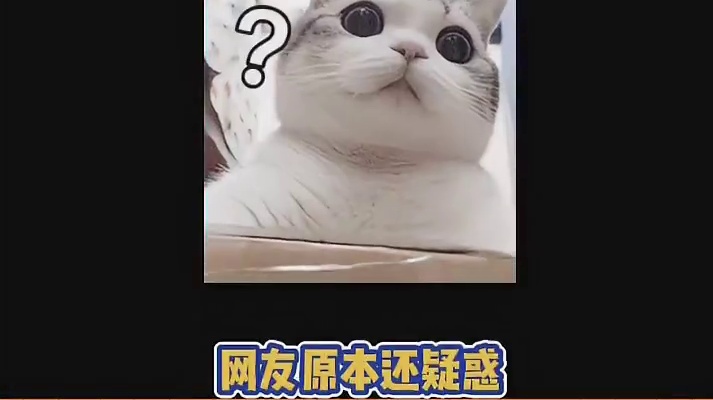 以为是代言人，结果是遗照