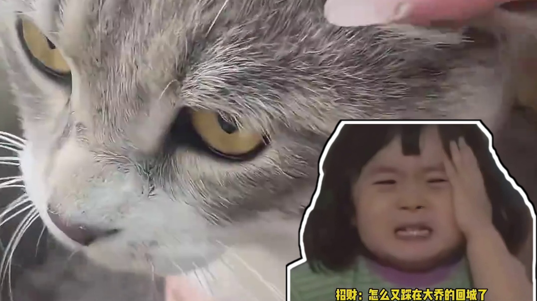 招财：怎么又踩在大乔的回城了