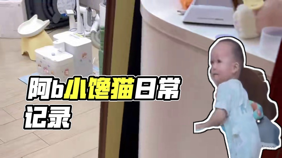 阿b：饭呢妈妈 #小馋猫 #记录猫咪日常
