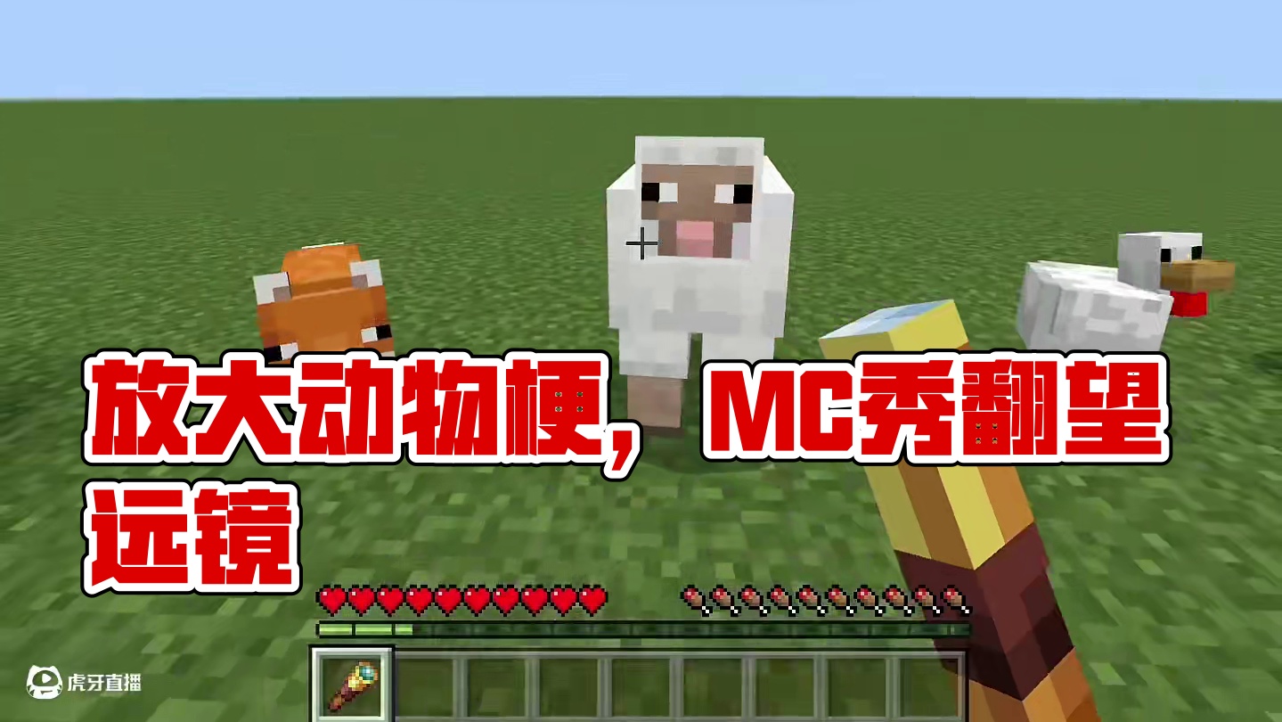 #我的世界 #MC 假如放大动物能看见它们的梗#minecraft #望远镜