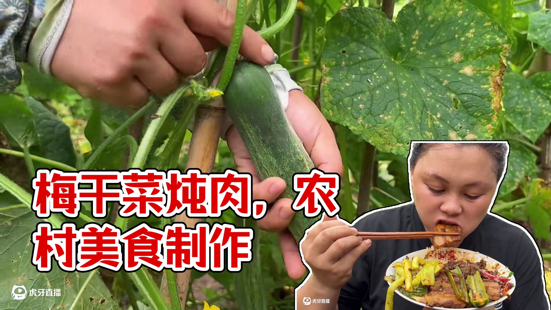 做一锅香辣梅干菜炖肉，配着凉拌黄瓜吃过瘾 #美食 #农村生活