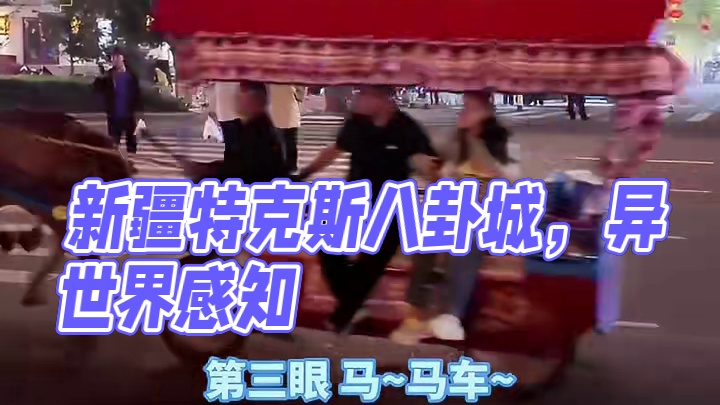 新疆这地方也是有点东西的~~ #新疆 #特克斯八卦城 #搞笑