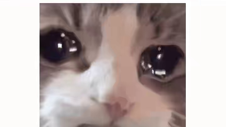 怕你走的不安心，我甚至不敢大声哭泣