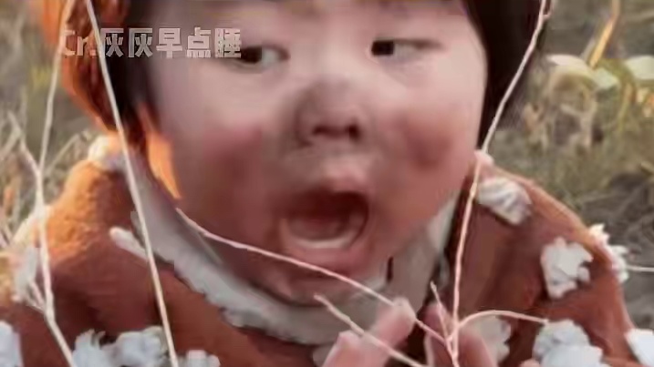 是谁还不知道小猫也有睫毛#萌宠出道计划 #小猫拯救世界 #小猫能有什么坏心思 #猫咪 #可爱