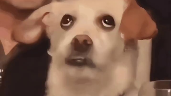 人怎么可以有种成这样！