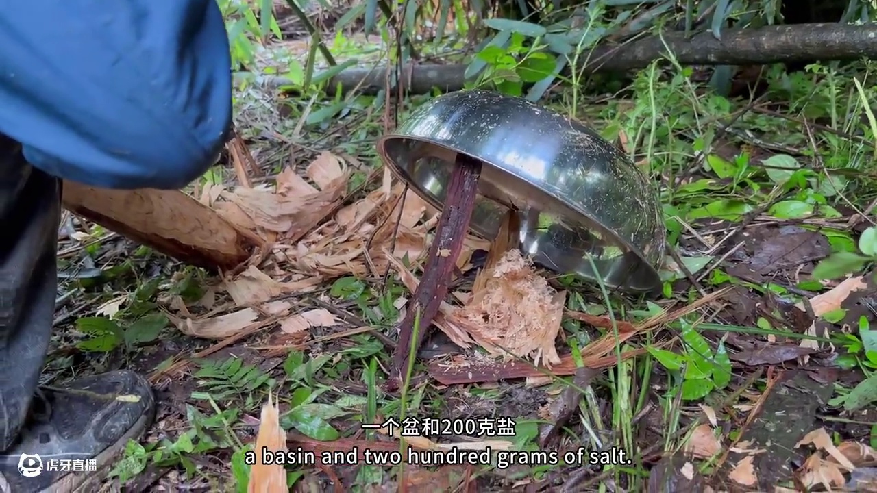 中国印江·缠溪杯，国内唯一一档可以狩猎的荒野求生挑战赛！比赛第19天.#荒野求生 #户外 #极限运动