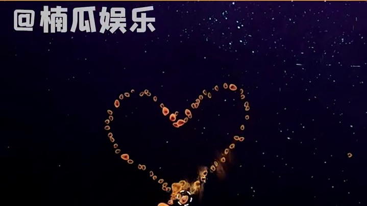 过年快来和ta一起开启这段奇妙旅程！