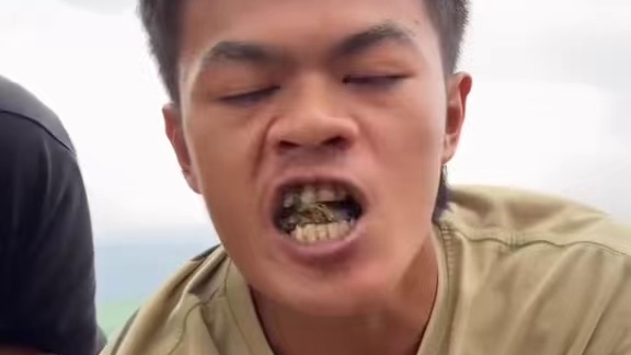 哈哈野生嘟嘟来了 #我的乡村生活 #原创视频 #日常生活 #农村美食记录生活 #呀太香了