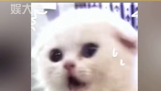 我们嗨皮牙是顶流!疑似内娱的第一个打歌舞台#汪苏泷#汪苏泷演唱会#晚安大小姐#wiplash#kpo