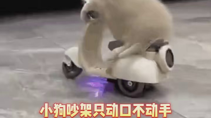 果然每物种都喜欢看热闹