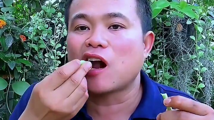 新鲜豆角鲜辣️猪腰毛肚凉拌米粉 #泰国大叔#泰国美食#泰国生活#泰国特色#内容启发搜索