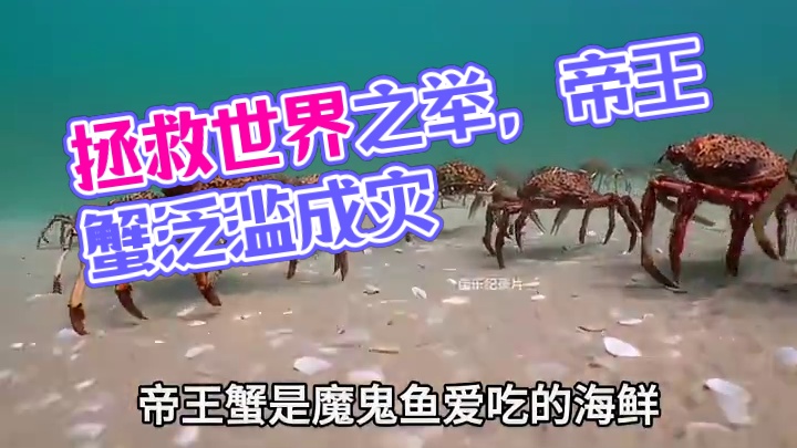 看似暴遣天物的做法，其实是在拯救世界！#蟹柳 #手撕蟹柳 #蟹味棒 #科普